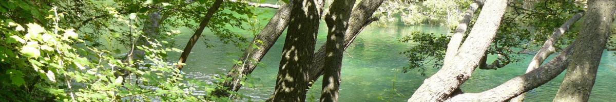 Canoe sur la sorgue juillet 2008 016